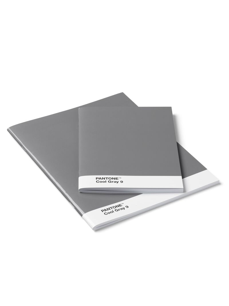 Woman Wears Pantone - 2 Pack Notebooks image number 0