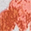 Pressed Petals Top
