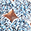 Sand Dollar Stella Dress