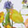 Phaidon - Flower Color Theory Paperback