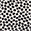 Spotted Dot Top